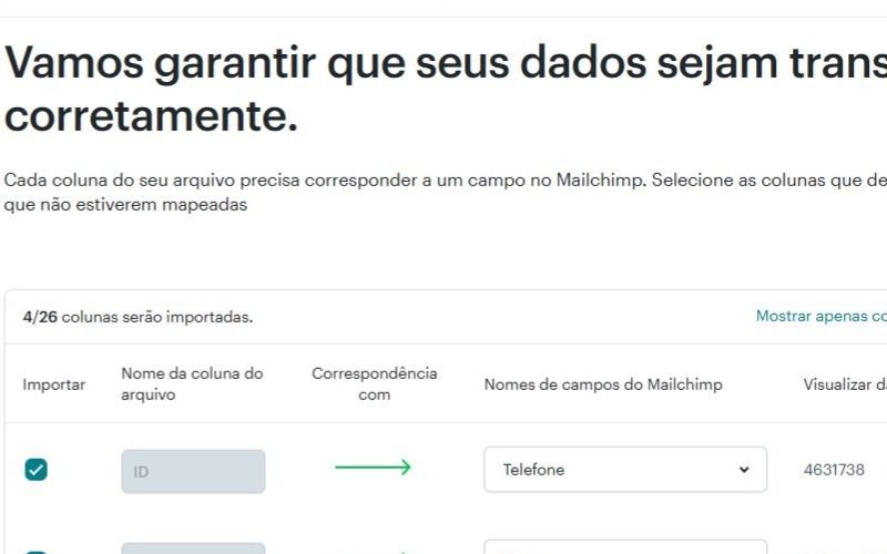 MailChimp12: transferência de dados