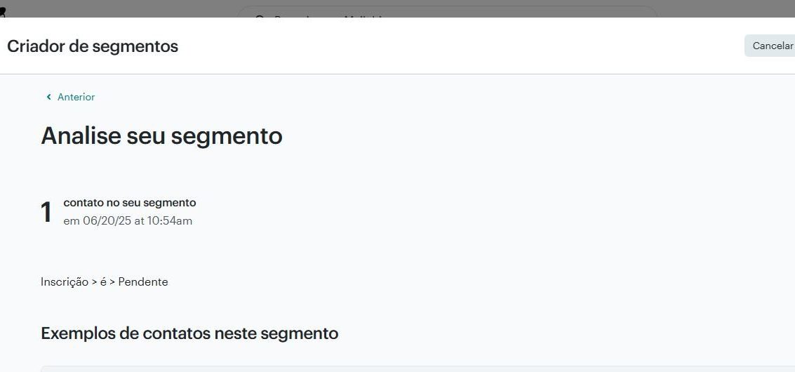 3) Verifique se deu tudo certo com o segmento criado e quantos contatos constam nele